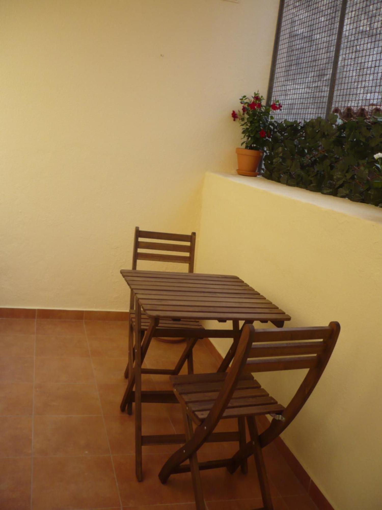 Olival 178 *